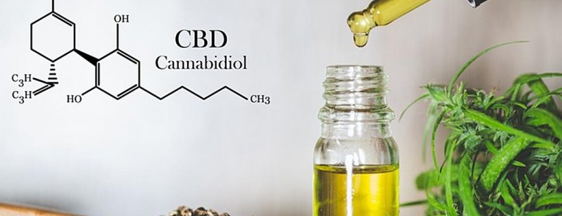 Veracity’s CBD/Hemp Products Program Review